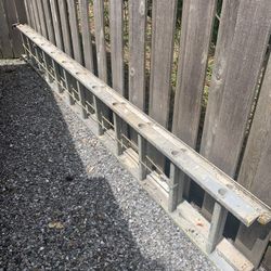 Extension Ladder