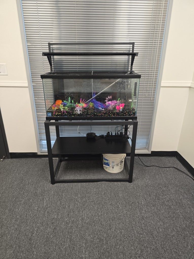 Aquarium