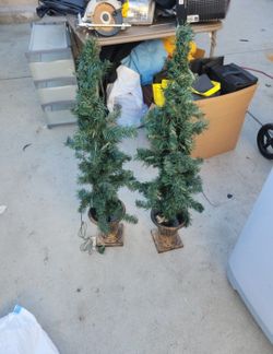 Doorway Christmas Trees