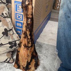 Cypress Knee Electric Burned