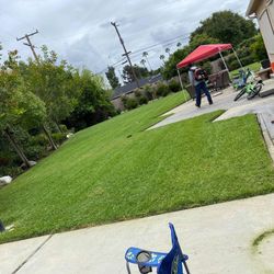 Yard Clean Ups 