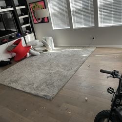 Home Depot 8x10 Foot Rugs Good Condition 