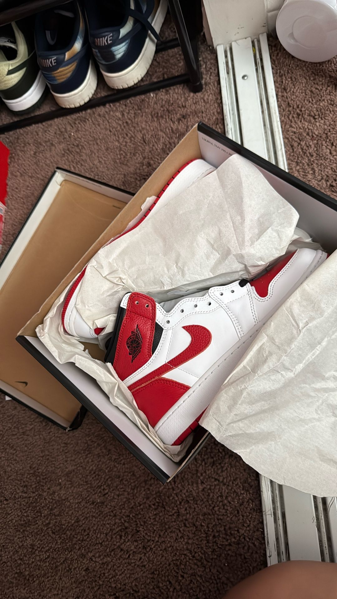 Jordan 1 Highs 6 Y