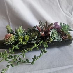 Tabletop Succulent Bottle