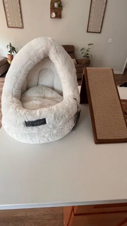 Cat bed and fun ramp.