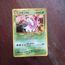 Pokemon Meganium Neo Gen