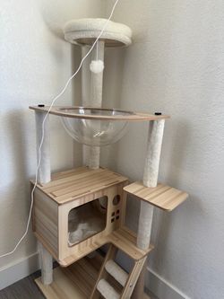 Modern Wood Cat Tree with Acrylic Pod