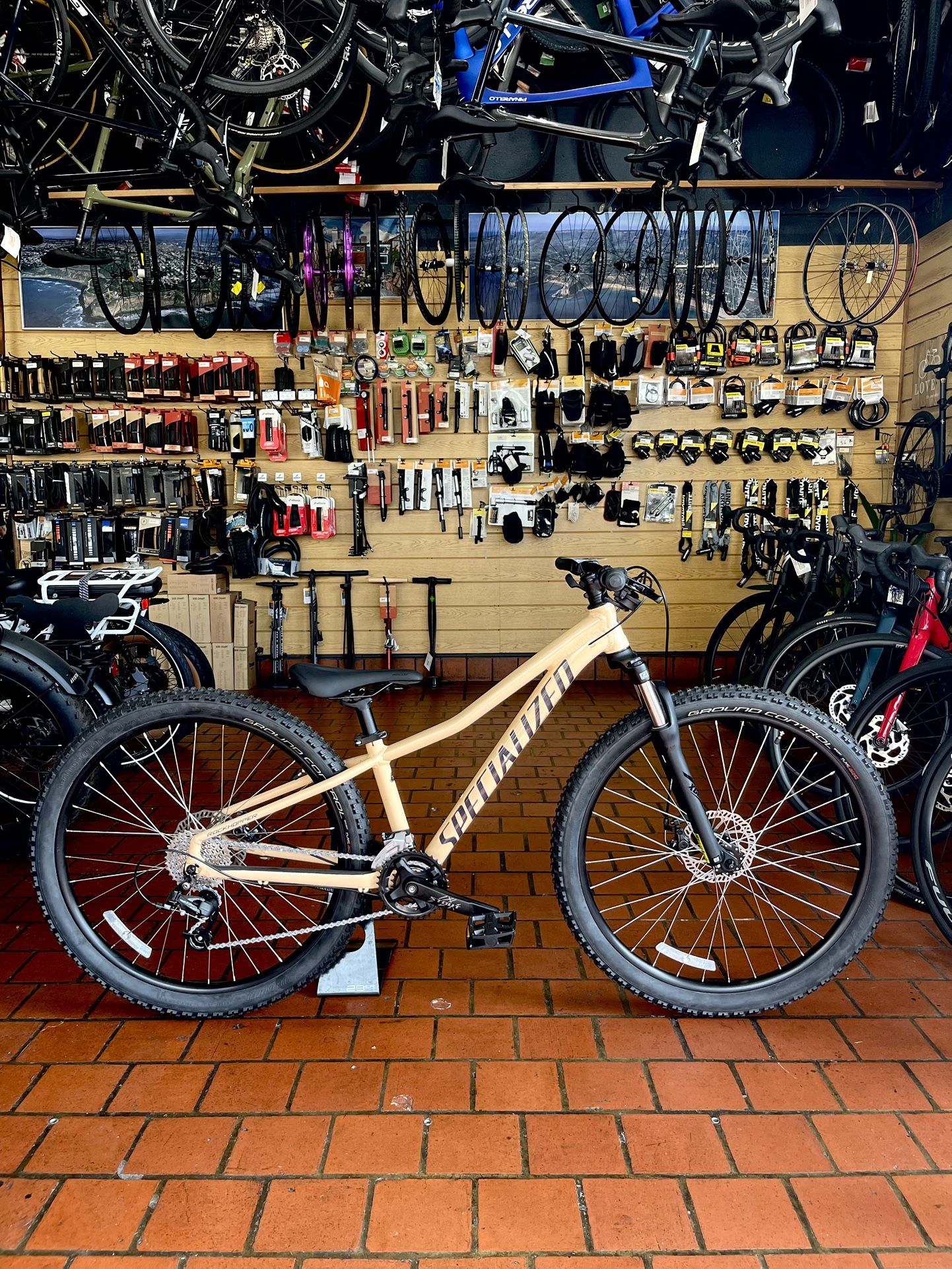  Specialized Rockhopper Mountain Bike - Size XS Papaya color 