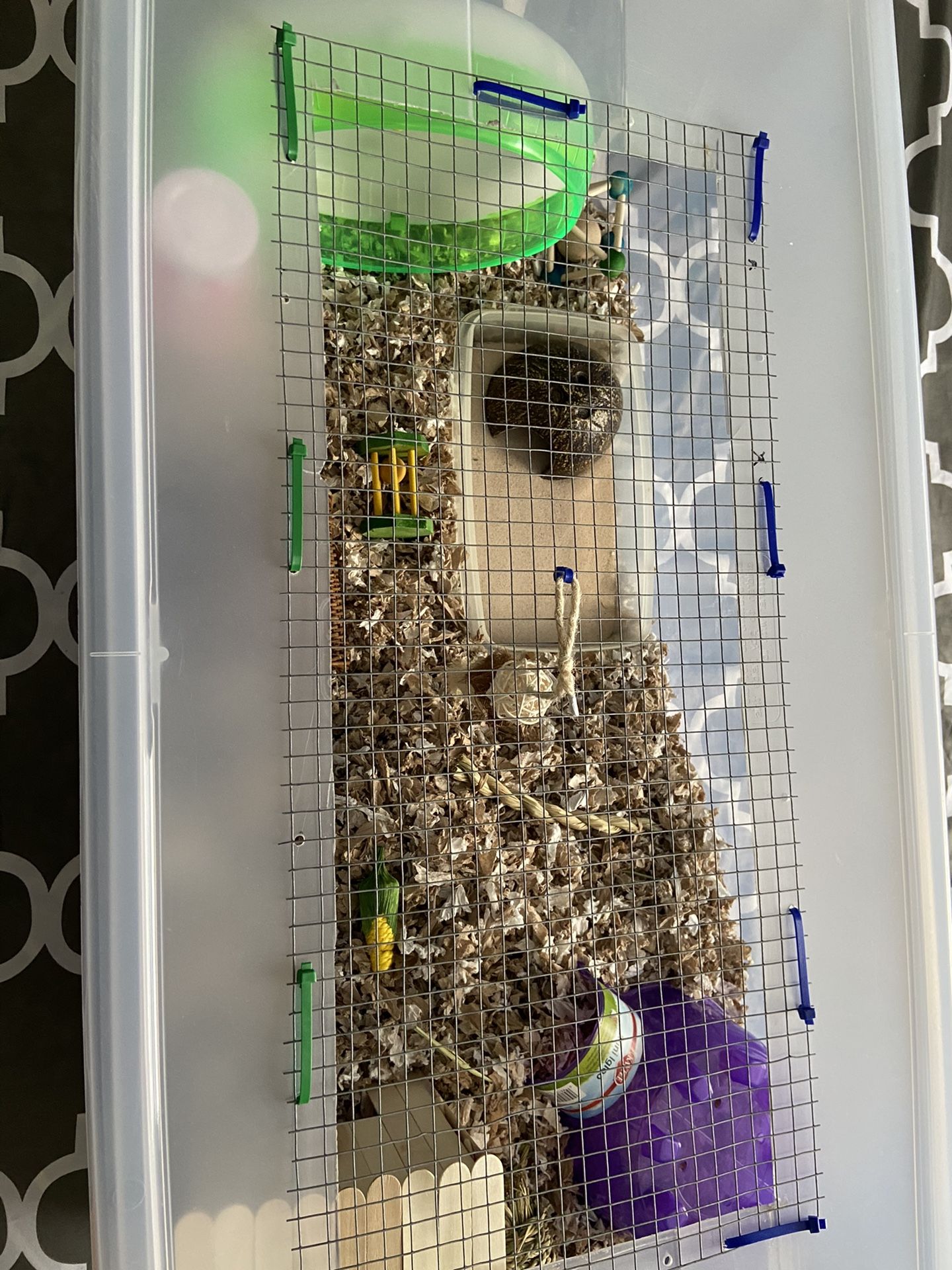 110 Qt Hamster Bin Cage With DIY lid