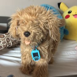 Real Dog Toy