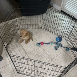 Pet Pen Adjustable 
