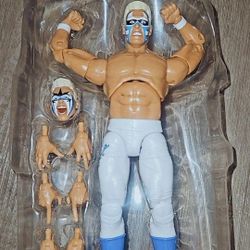 AWE wrestler STING