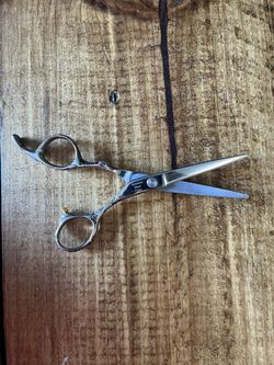 Japanese Steel Cutting Scissors 