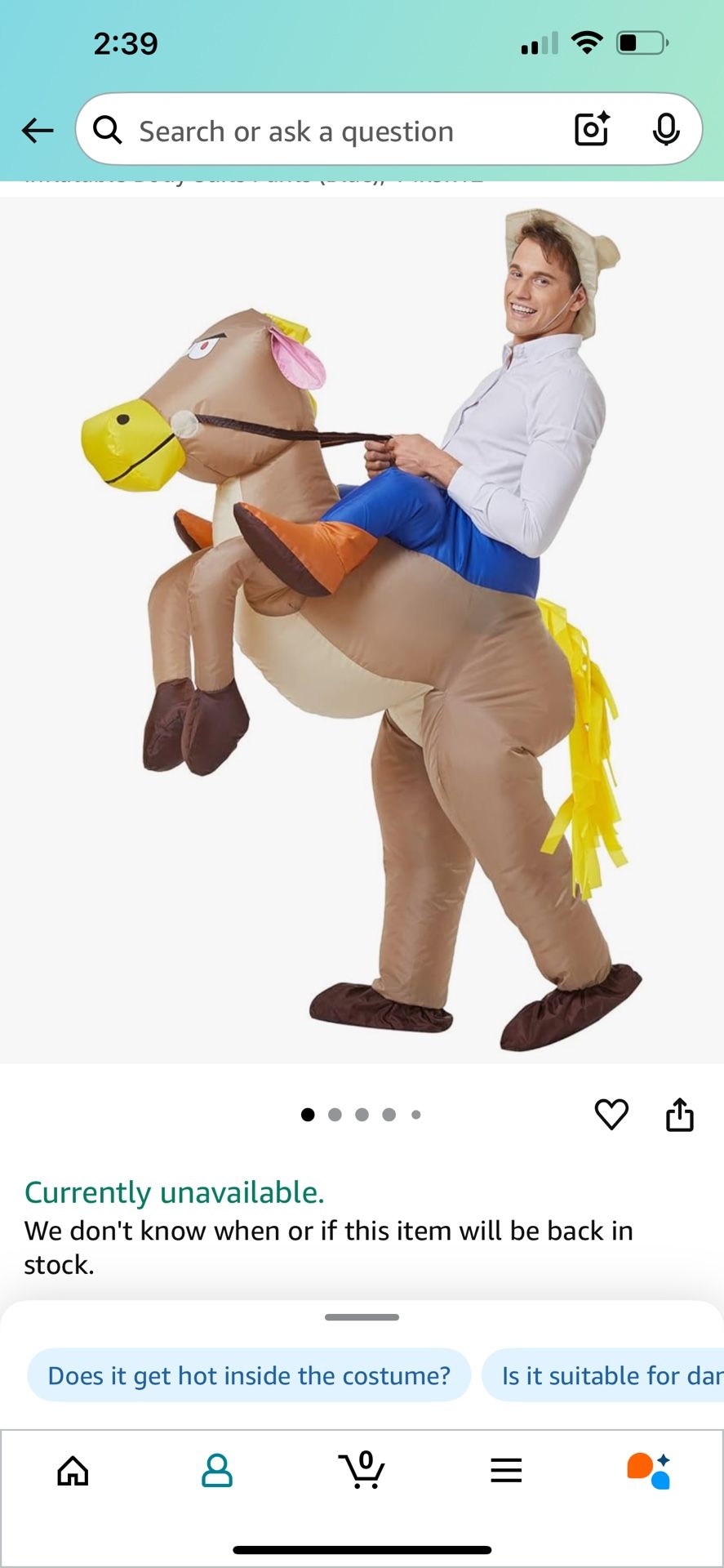 Halloween Cowboy Costume