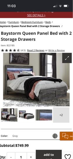 Baystorm Queen Panel Bed with 2 Storage Drawers