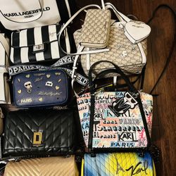 Karl Hand Bag Price Range From $60 And Up 