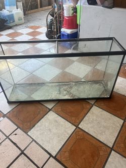 Salt Water Tank 60 Gallon