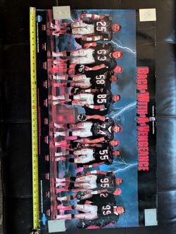 Vintage 87 Bears, Jordan, Pippen