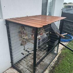 Outside Bird Cage
