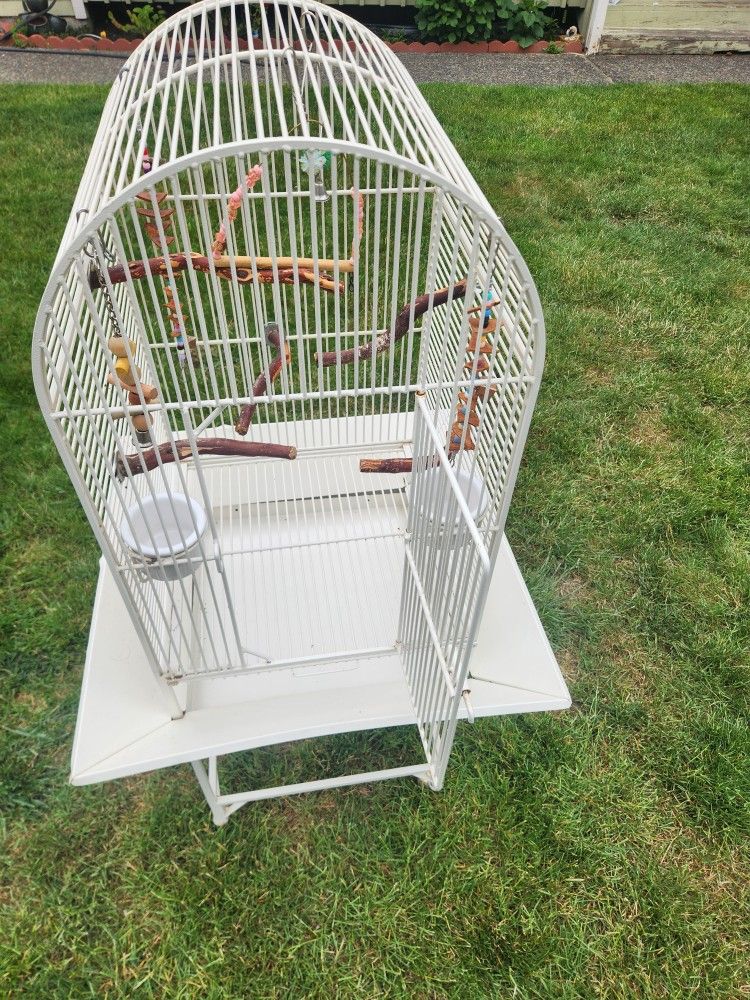 Bird Cage