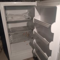 Stand Up Freezer (Fridgaire)