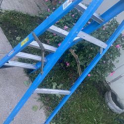 6ft Ladder