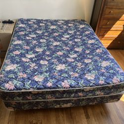 Queen Bed