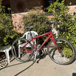 Trek Street bike