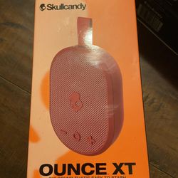 Skull Candy Speaker 