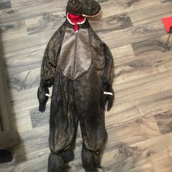 Dinosaur Costume 5t