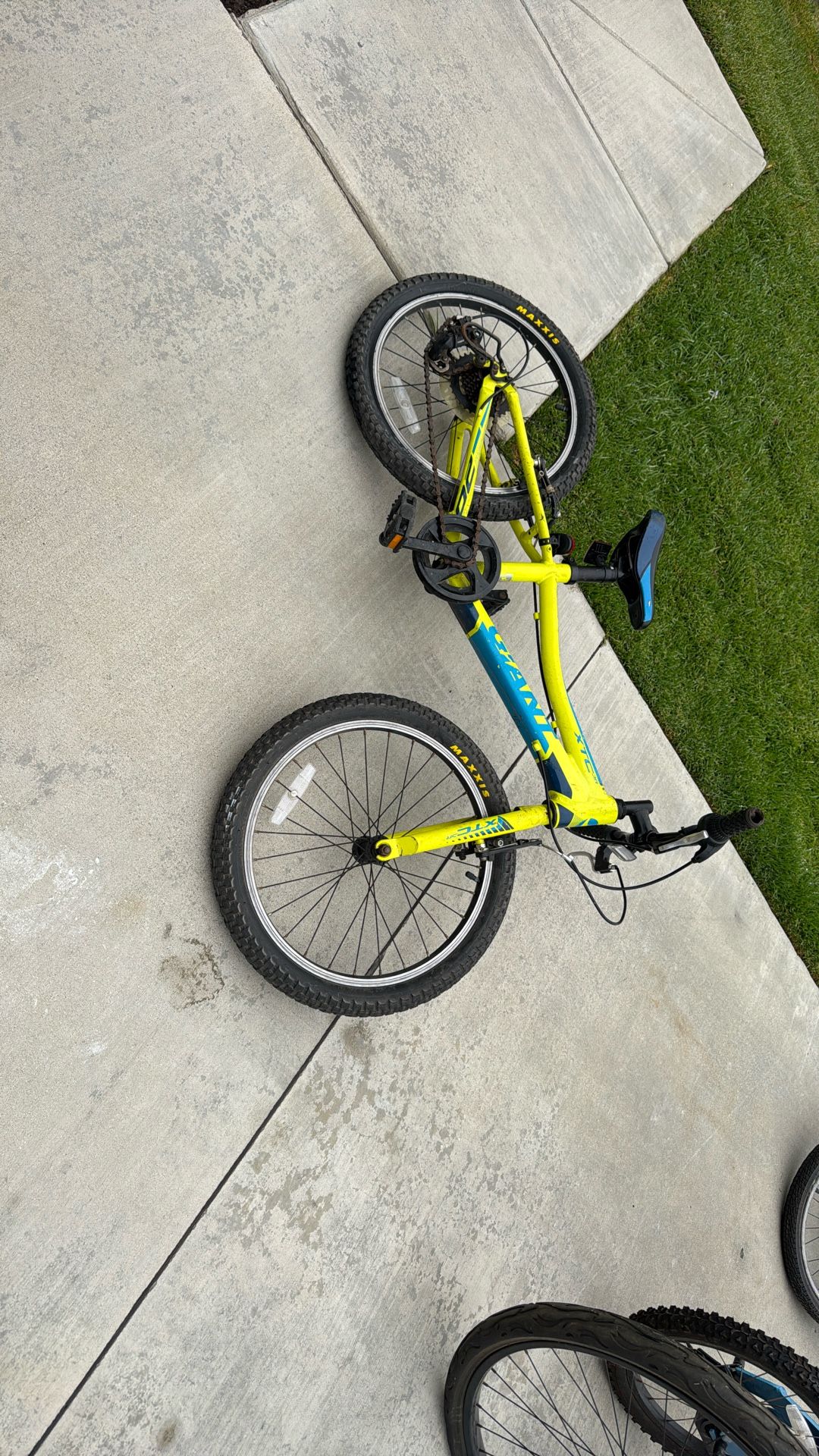 Giant Kids bike