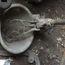 Cow Water Feed