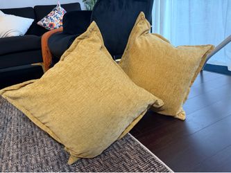 Pillows (with covers)