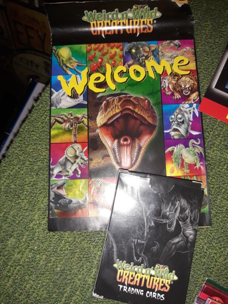 Weird and Wild Creatures Assorted Cards Set