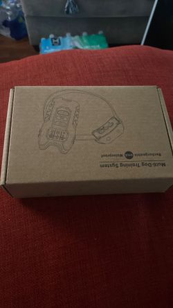 Multi-Dog Trainig System 