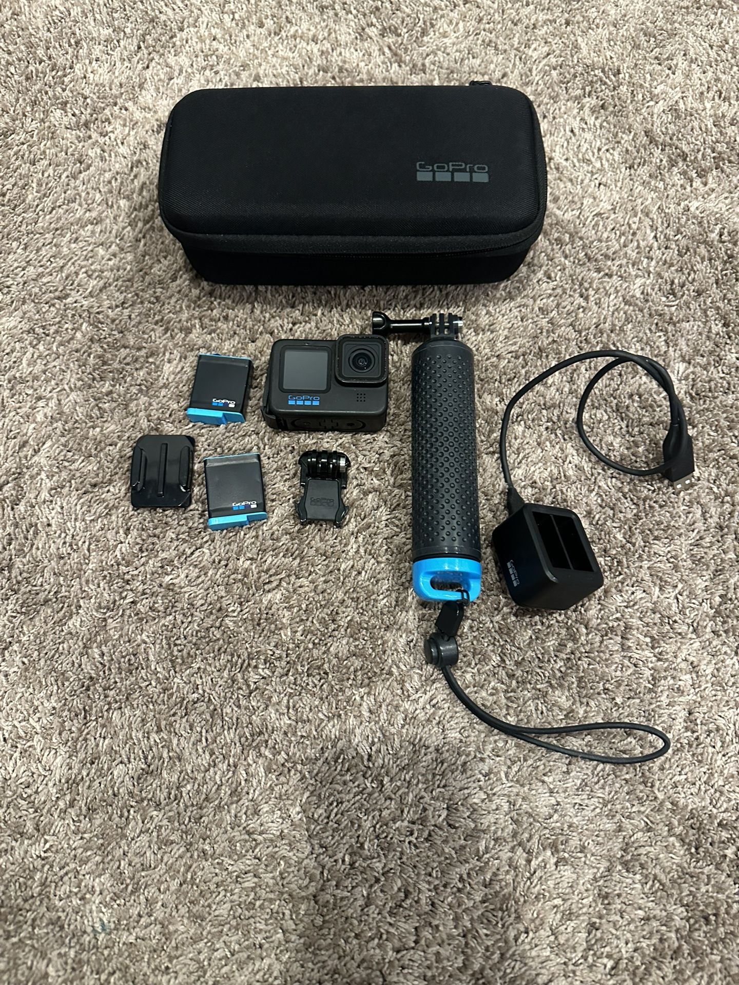 GoPro 10 Black + Accessories 