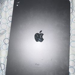 iPad 11 Pro 