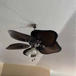 Fan With Lights 
