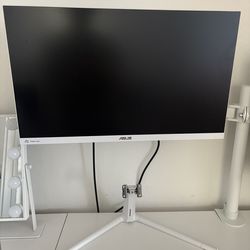 Asus 24 in monitor white