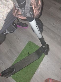 Bird Scooter 