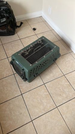 Pet cat or small dog cartier