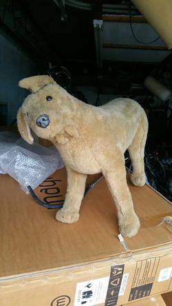 My name's stiffy looking for a good home