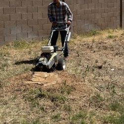 Stump Grinding