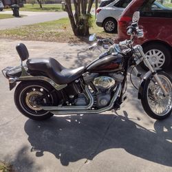 2006 Harley davidson Softail