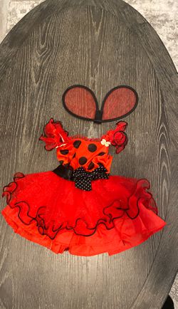Toddler lady bug costume