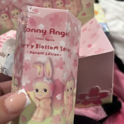 cherry blossom