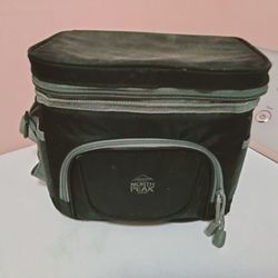 One North Peake Lunch Sack