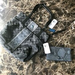 Coach Bag and Clutch