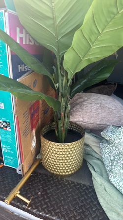 Artificial plant