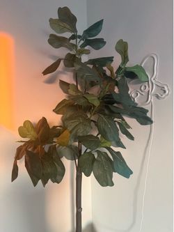 Large fiddle tree( artificial
